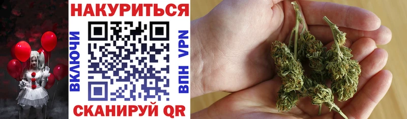 Купить где  Дивногорск  Бошки Шишки план 